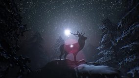 Snowy Winter Forest night. Magical Starry night sky animation. Christmas and new year animated background. Christmas Deer. Merry Christmas and Happy New Year. 2021 - Powered by Shutterstock - Get 15% off with code: PIKWIZARD15