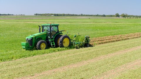 Whigham, Georgia / USA - August 28, 2019: Aerial Shot of Tractor Harvesting Peanuts on Farm, 4K