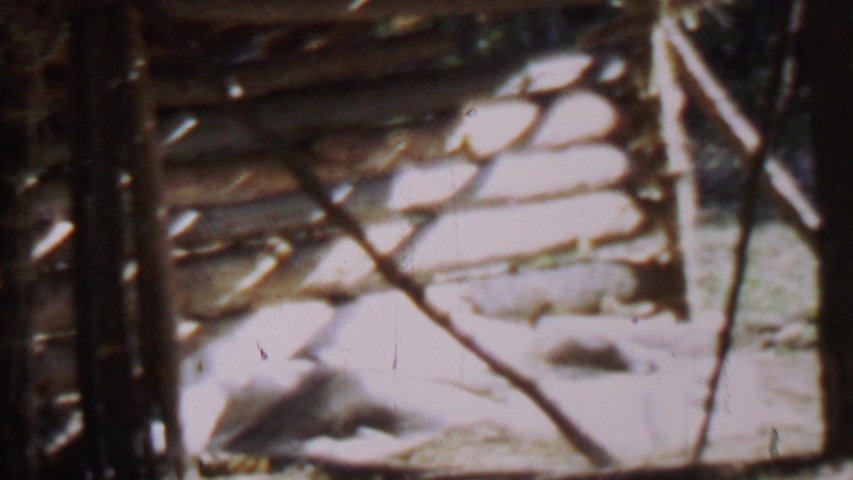 FARRAGUT STATE PARK IDAHO USA-1967: Lonely Leaved Wooden House In The Middle Of The Forest