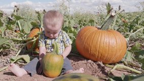 Happy Halloween! This is a video of my little boy in a pumpkin patch with some pumpkins. Shot on a GH5 at 60fps