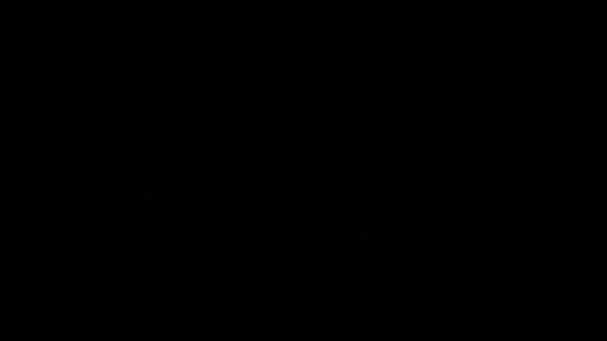 Clownfish with black background. video