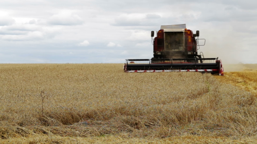 Combine harvester working on a wheat field. Seasonal harvesting the wheat. Scenic agricultural land and farm. Agriculture.