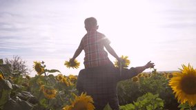 happy family concept father's day slow motion video . father and son walk on the field lifestyle of sunflowers farmers funny funny video. happy family dad man rolls around the a neck of little boy son
