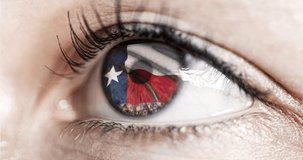 Woman green eye in close up with the flag of Texas state in iris, united states of america with wind motion. video concept