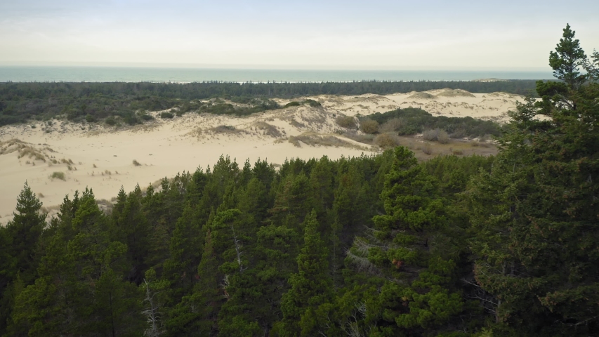 Aerial flying over sand dunes and pine trees in the Oregon Dunes National Recreation Area. Oregon, USA 
