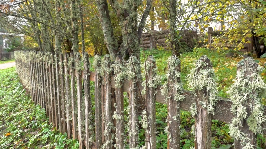 Village Autumn day Garden with trees the Camera slowly moves back along the wooden fence overgrown with moss in the background you can see the log buildings