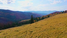 Aerial Drone video flying over Carpathians mountains, Ukraine, Europe