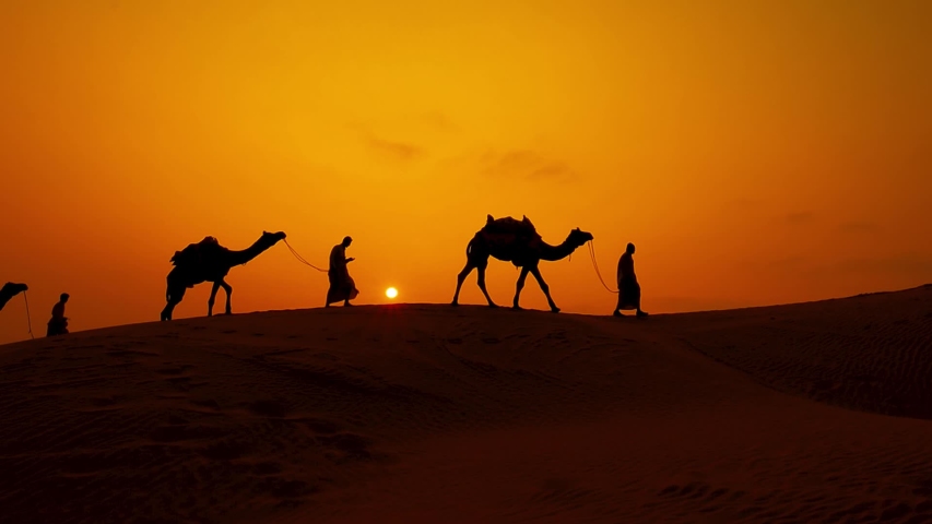 Cameleers, camel Drivers at sunset in slow motion. Thar desert on sunset Jaisalmer, Rajasthan, India. Royalty-Free Stock Footage #1041845260