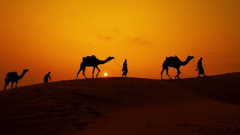 Cameleers, camel Drivers at sunset in slow motion. Thar desert on sunset Jaisalmer, Rajasthan, India.
