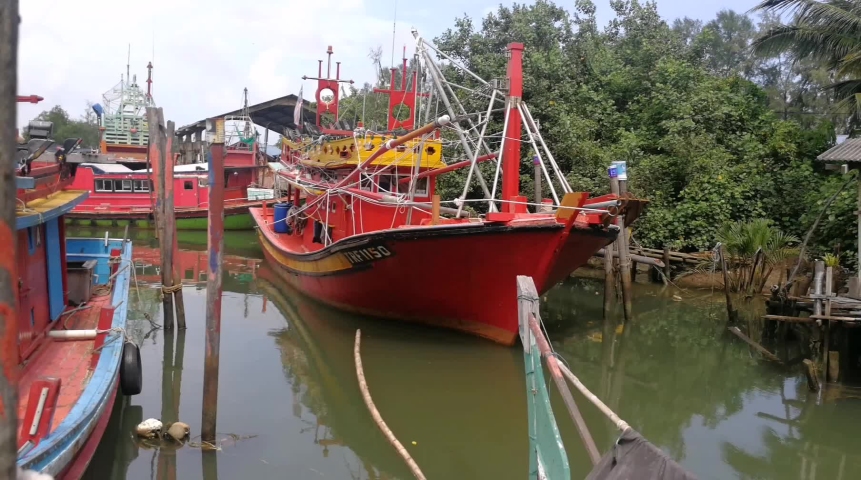 Borneo. Malaysia - Circa Jan Stock Footage Video (100% Royalty 