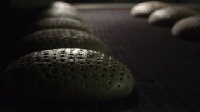 Bread loaves conveyor belt at food production factory. Bread production line. Bakery food factory production with fresh products. - Powered by Shutterstock - Get 15% off with code: PIKWIZARD15