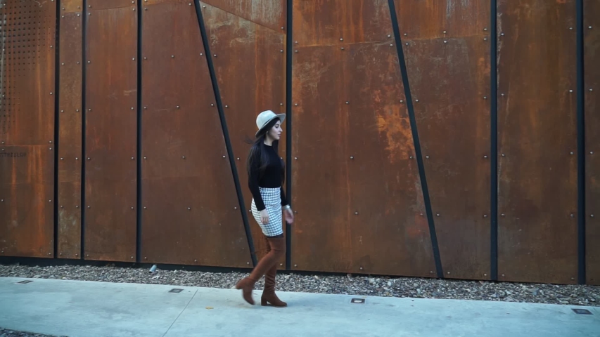 Beautiful girl model posing against the background of the modern building