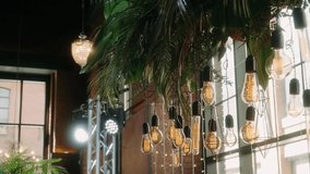  large light bulbs hang on a background of green leaves creating a warm atmosphere
