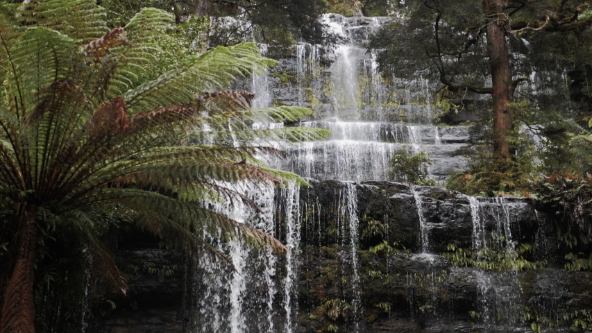 Fern Falls waterfall