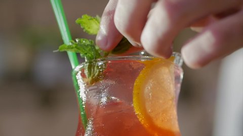 The bartender prepares a cocktail and decorate it with mint leaves and lemon.