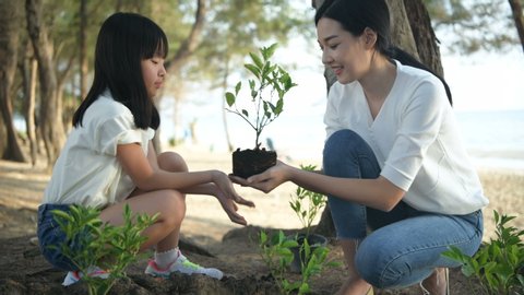 Families are helping to grow trees to protect the environment. 4k Resolution.