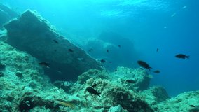 Underwater seascape, rocks with fish in the Mediterranean sea, static scene, Cap de Creus, Costa Brava, Catalonia, Spain