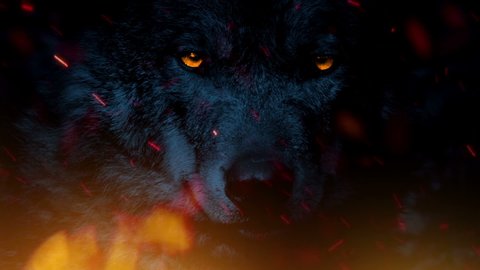 Powerful Alpha Wolf Growls In Raging Fire