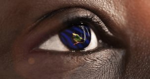 Woman black eye in close up with the flag of Vermont state in iris, united states of america with wind motion. video concept