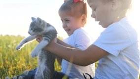 little kids children and cat concept happy family slow motion video. children brother and sister hold play with a small kitten on the nature sunset summer in the park. little boy and girl are playing