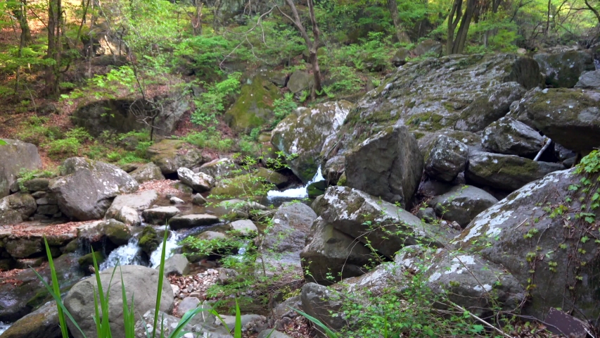 
Small and Calm Spring Valley and Streams in Korea