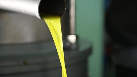 Fresh extra virgin olive oil falling in recipient, extracted olive oil. Olive Oil mill industry in Puglia, Salento, Italy