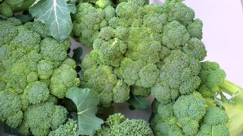 Broccoli harvest of good quality close up v