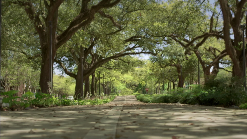 Bike Ride Trail Park Recreation Baton Rouge Louisiana