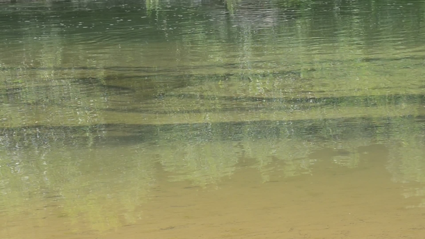 Video of the river landscape, a Nature Video by lupei74catalin