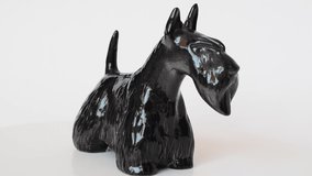 Video of ceramic dog figurine