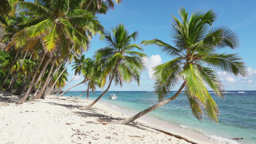 Best beaches in the world. Thailand Islands Palms on the ocean. palms grove on the beach with white sand. Blue sea and beach and sky. Summer landscape Royalty-Free Stock Footage #1042033216
