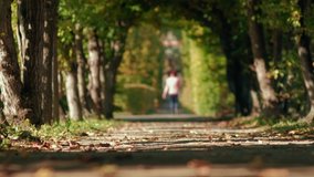 Path going through tree tunnel with defocused woman walking in the background. Shallow depth of field. 4K resolution.
