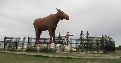 MOOSE JAW, SASKATCHEWAN/CANADA- SEPTEMBER 26, 2019: Mac the Moose statue in Moose Jaw, Saskatchewan, Canada 4K

