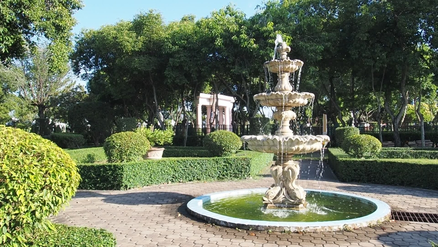 The fountain in the park with big trees and various tropical plants, relaxing atmosphere.