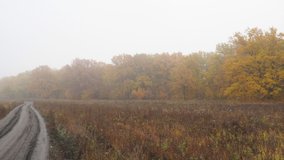 Large autumn meadow with stale grass. Beyond the meadow is a forest with yellow foliage in the fog. Landscape with fog in late autumn. Camera panning - Powered by Shutterstock - Get 15% off with code: PIKWIZARD15