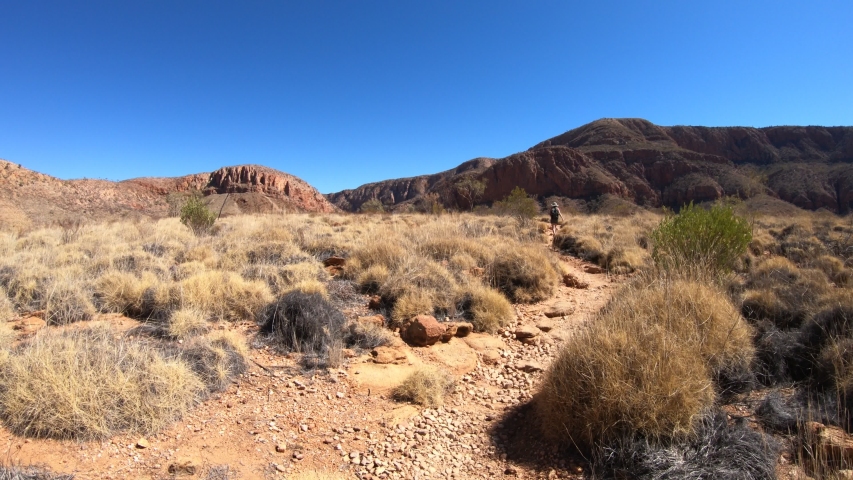 Path along Ormiston Pound walk a popular circular walk in West MacDonnell Ranges National Park in Northern Territory, Central Australia Outback. Red cliffs landscape following a trekking woman.