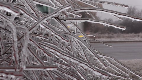 Burlington, Ontario, Canada December 2019 Ice storm and tree damage after freezing rain and windy weather