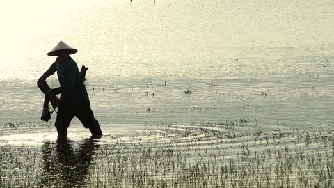 Silhouette of Asian fisherman with fishing net casting fish by throwing fishing net into the lake in morning sunshine.Fish is nature food from river or lake at rural in developing country
poor living.