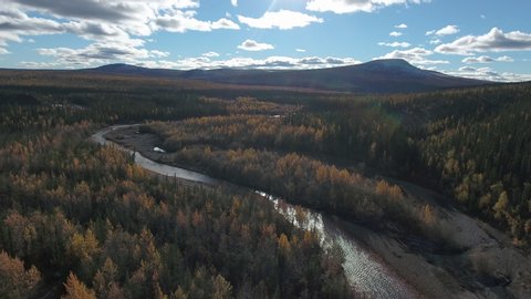 Aerial view of forest near Dempster Highway on autumn day. Dempster Highway, Yukon, Canada.