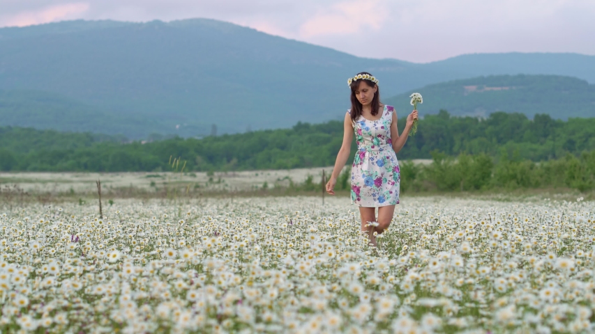 Video Stok girl camomile flower meadow enjoy nature (100% Tanpa Royalti) 10...