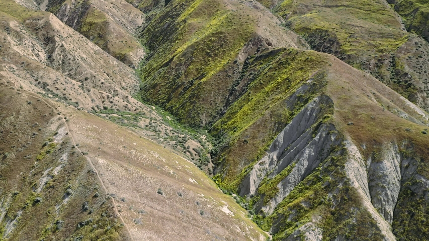 Aerial: Spring Flowers on the hills during the the super bloom. Carrizo Plain National Monument, California, USA