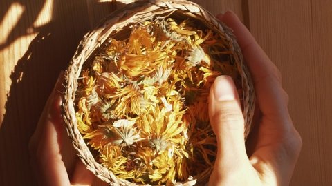 Wicker straw basket with dried calendula hand touch flowers inside herbal detox Ayurvedic tea for pregnant and lactating mothers healthy concept folk medicine ingredients for organic natural cosmetics
