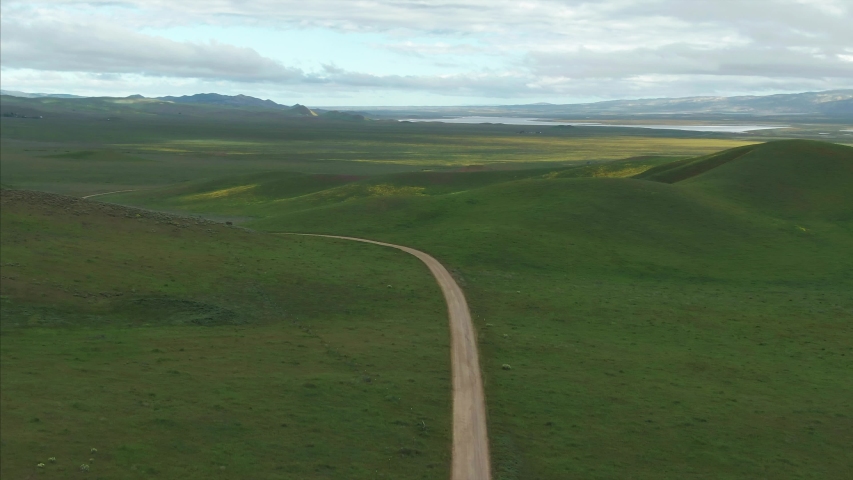 Aerial: Grassland, wildflowers & rolling hills valley during the superbloom. A lone road runs through the valley. Carrizo Plain National Monument, California, USA 