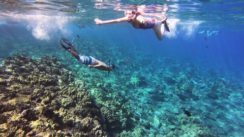 Man Woman Snorkeling Coral Reef Stock Footage Video (100% Royalty-free ...