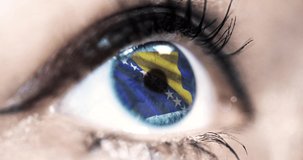 woman blue eye in close up with the flag of Bosnia and Herzegovina in iris with wind motion. video concept