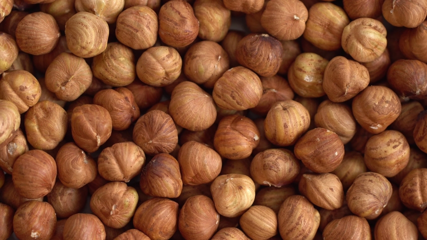 Walnut close up. product rich in minerals and vitamins. Hazelnut turns in a shot. Hazelnut kernels rotating. Hazelnut close up lies under beams of the sun. Macro 4K Royalty-Free Stock Footage #1042277398