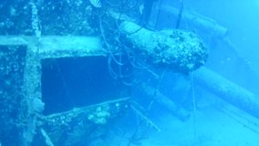 coral life caribbean sea Bonaire island underwater diving divers video

