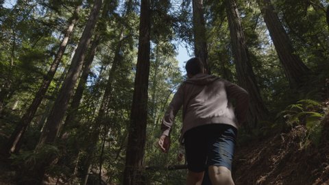 Slow motion low angle view of boy photographing trees with cell phone in forest / Muir Woods, California, United States