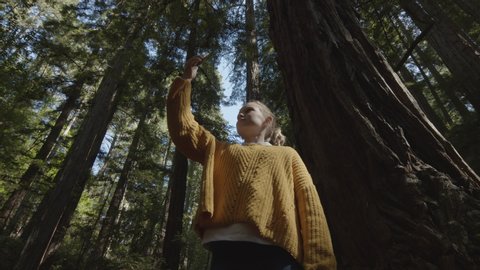 Low angle view of girl photographing trees with cell phone standing in forest / Muir Woods, California, United States
