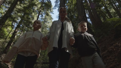 Low angle tracking shot of mother and children walking in forest looking up at trees / Muir Woods, California, United States